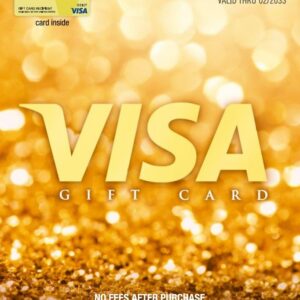 Visa $100 gift card